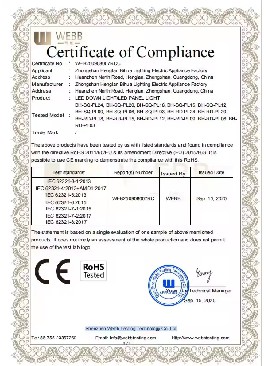 WEB250908007RCC