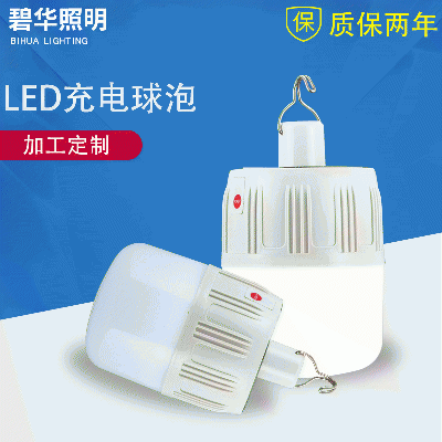 LED charging bulb