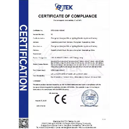 BTEK250814003AE