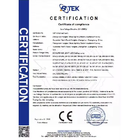 BTEK250814004AS
